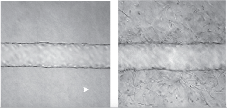 Screen Shot 2018-01-16 at 11.57.26 PM.png